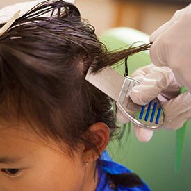 Comb out treatment for head lice complete by the Lice Clinics of America - Columbus