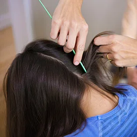 check for head lice at the Lice Clinics of America Columbus