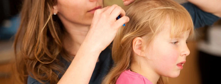 Columbus, Ohio mother checking child's head for lice with a comb